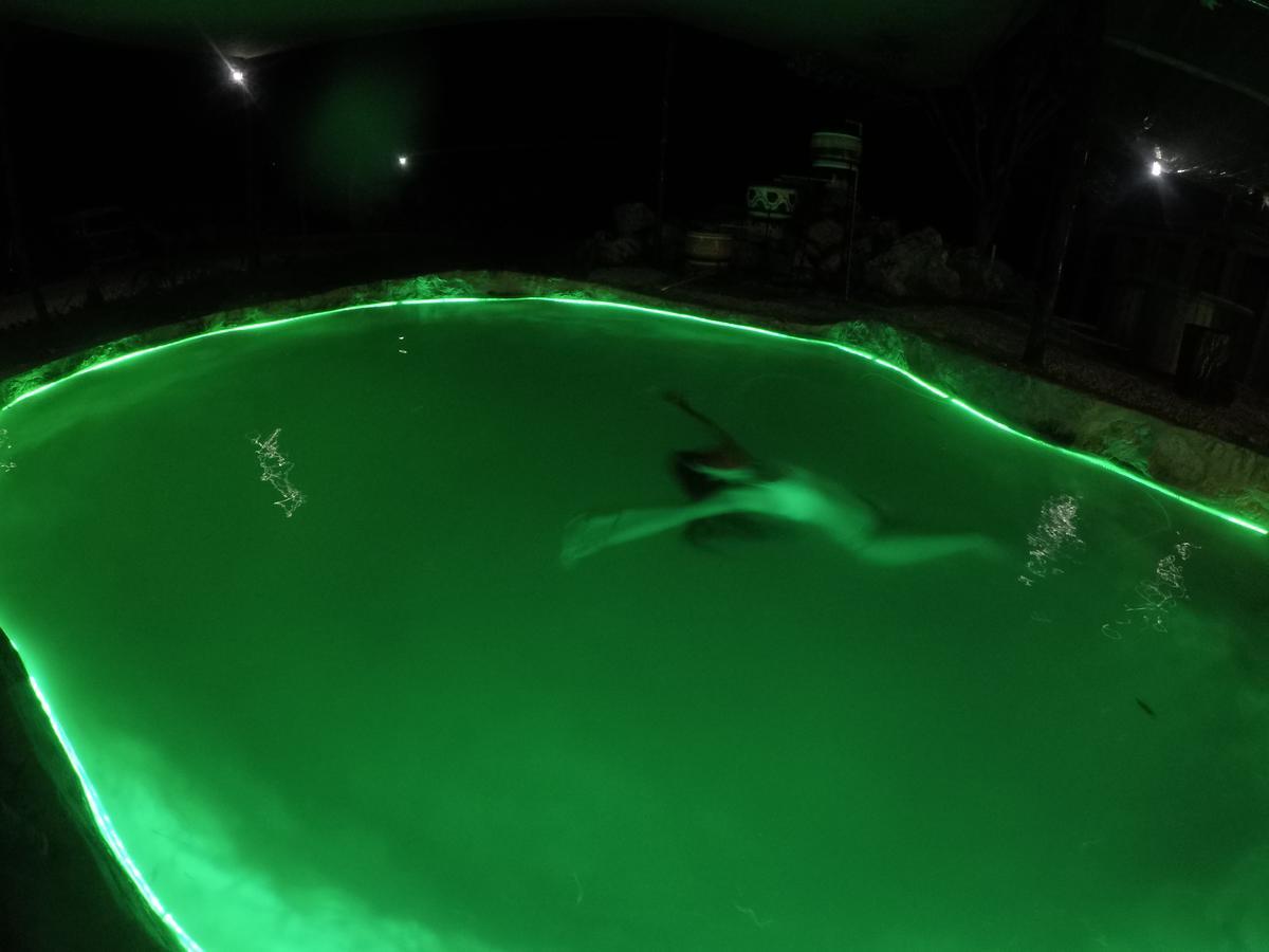 ואיאדוליד Eco Camping Valladolid מראה חיצוני תמונה