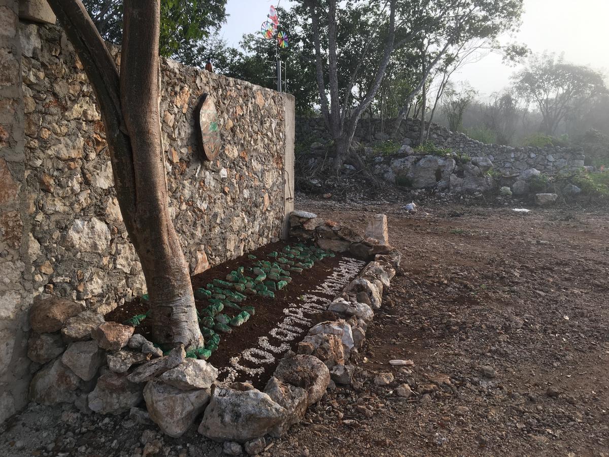 ואיאדוליד Eco Camping Valladolid מראה חיצוני תמונה